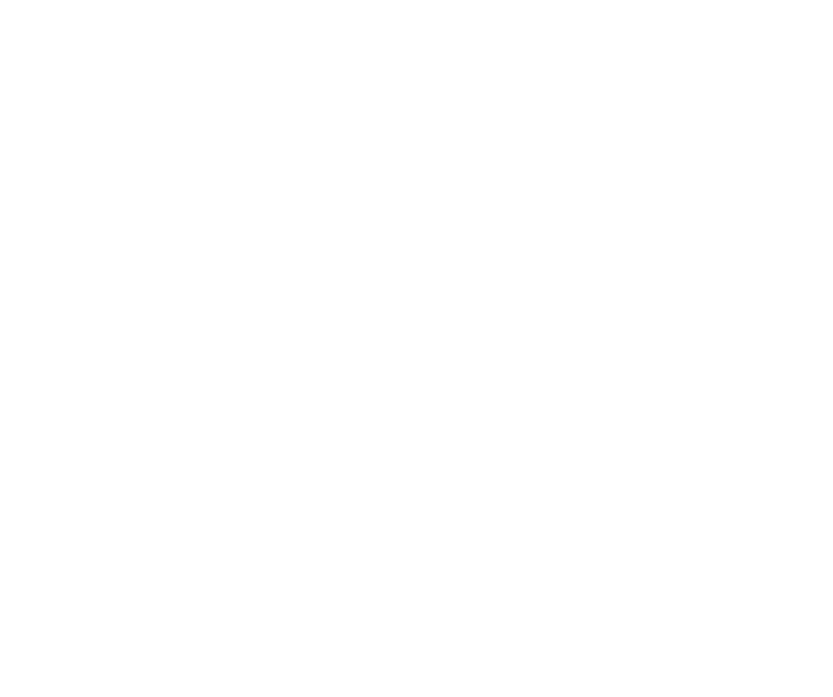 Lion Garage Motorcycle